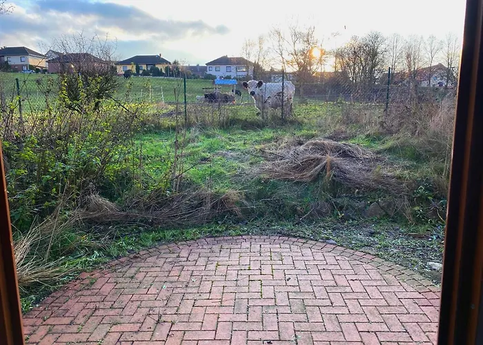 Haustierfreundliches Hotel: Ferienhaus von Alvensleben
